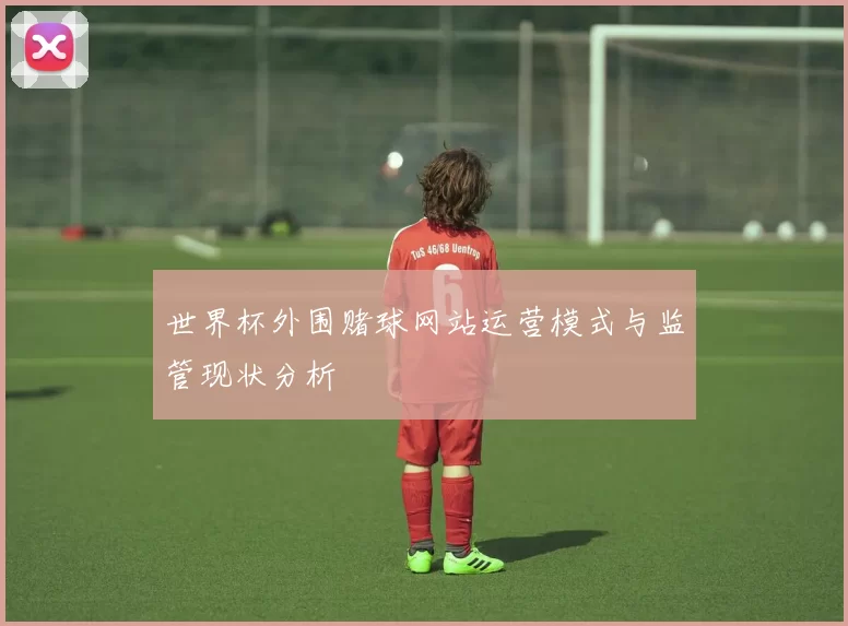 世界杯外围赌球网站运营模式与监管现状分析