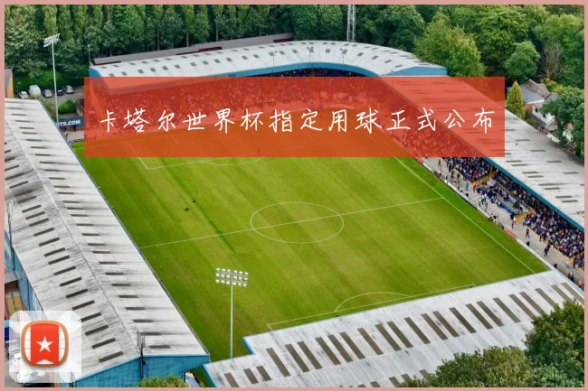卡塔尔世界杯指定用球正式公布